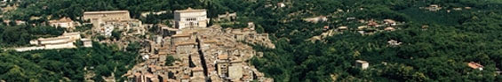 kalamata
